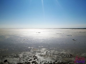 ۱۳۹۱-دریاچه-ارومیه