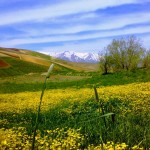 روستای موانه