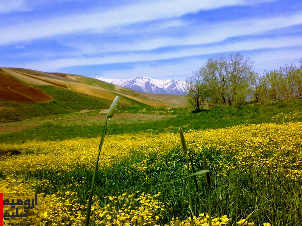 روستای موانا