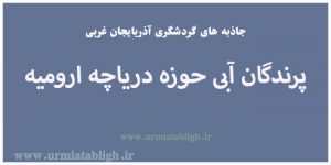 پرندگان آبی حوزه دریاچه ارومیه