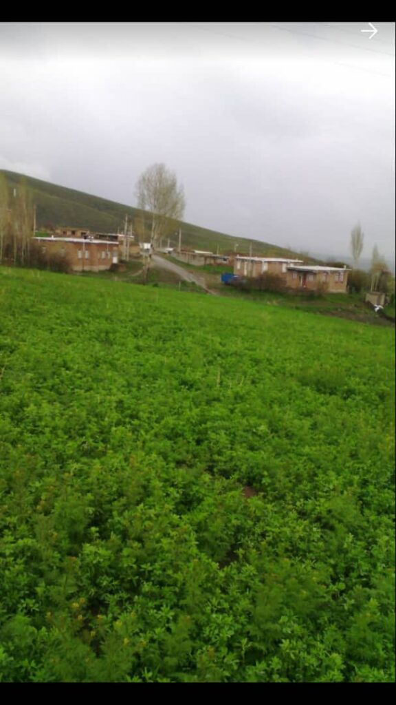 روستای عبدی بیگ